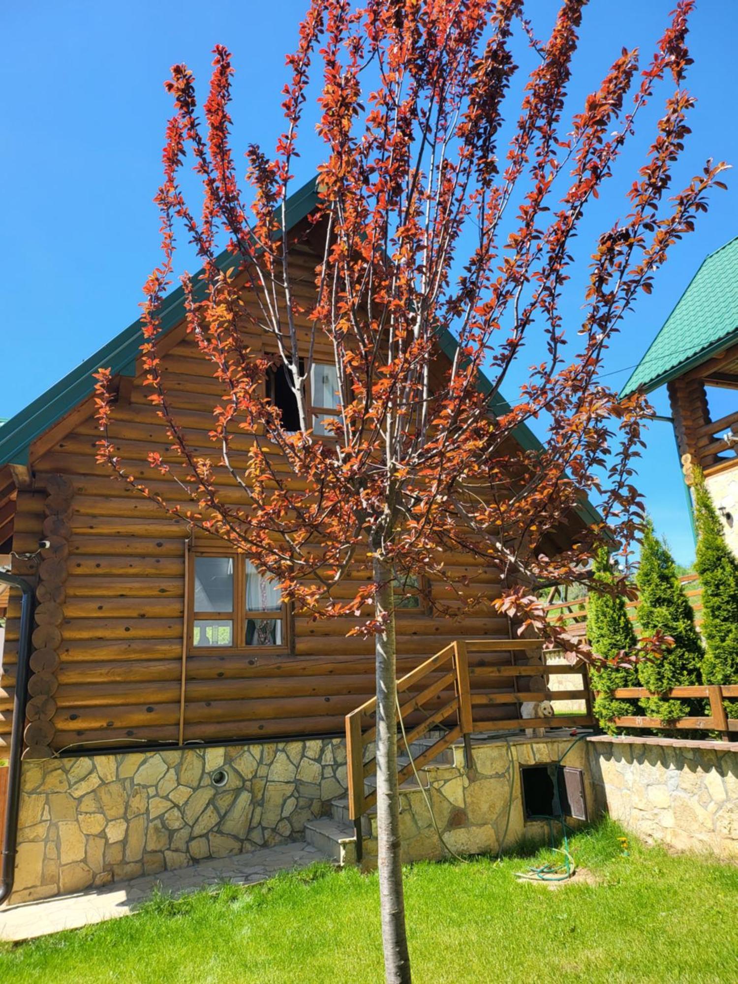 Zlatar Luxury Chalet - Trace Of Nature 2214 Nova Varoš Esterno foto